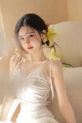 形成严沉职务违法并涉嫌受贿犯罪